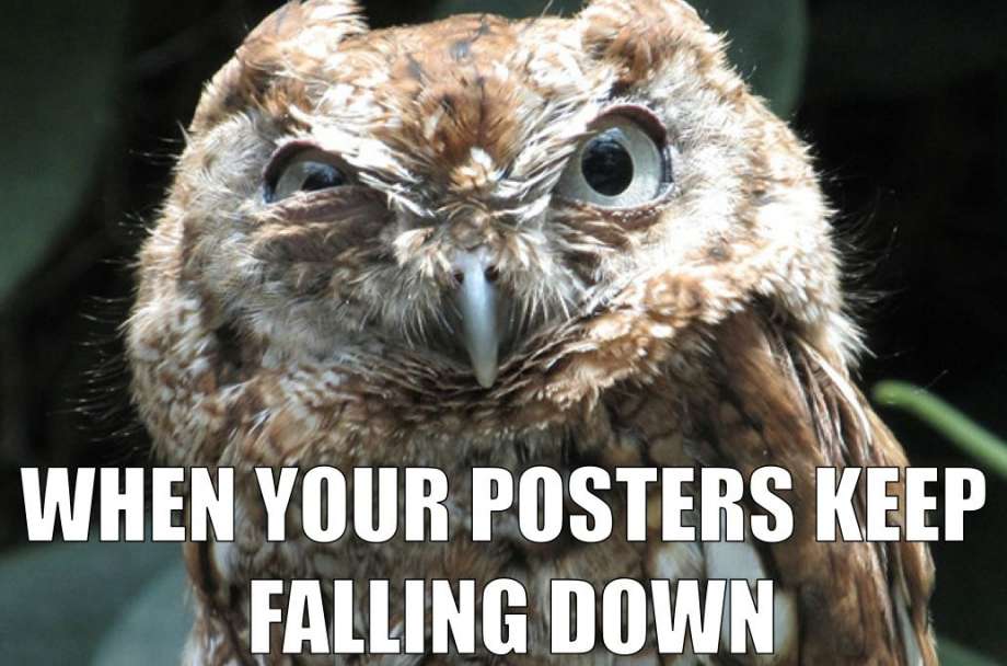 funny owl - When Your Posters Keep Falling Down
