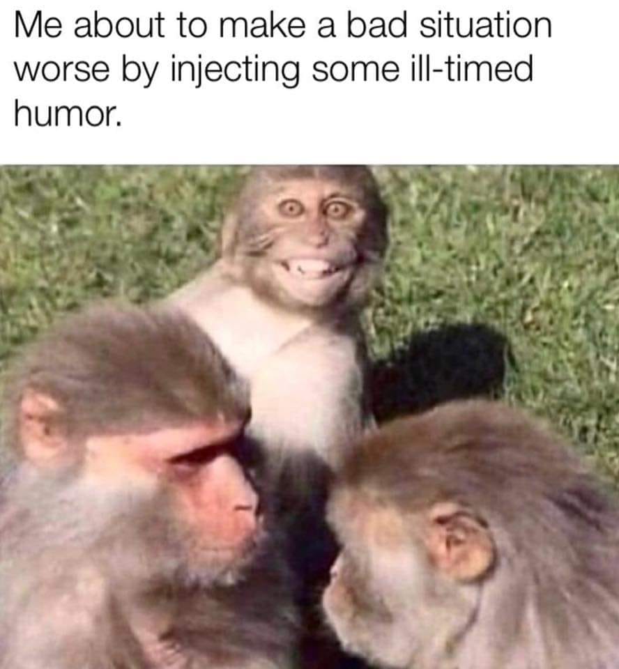 ill timed humor meme monkey - Me about to make a bad situation worse by injecting some illtimed humor.