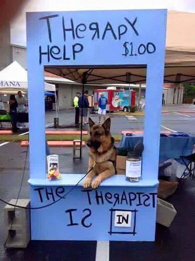 dog - Therapy Hqlp $1,00 Hana The Te Ic In