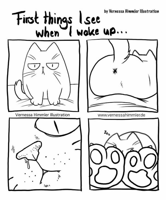 vernessa himmler cats - by Vernessa Himmler Illustration First things I see on when I wake up... Vernessa Himmler Illustration