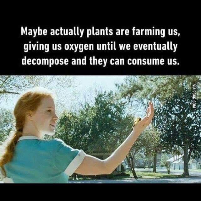 trees are farming us - Maybe actually plants are farming us, giving us oxygen until we eventually decompose and they can consume us. Via 9GAG.Com