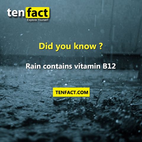 rain facts - ten fact Explore Yourself Did you know? Rain contains vitamin B12 Tenfact.Com