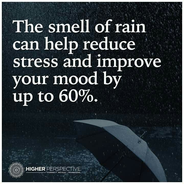 bring on the rain - The smell of rain can help reduce stress and improve your mood by up to 60%. Higher Perspective