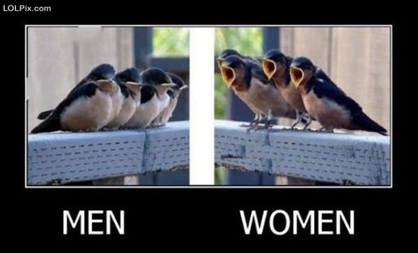 bird lol - LOLPix.com Men Women