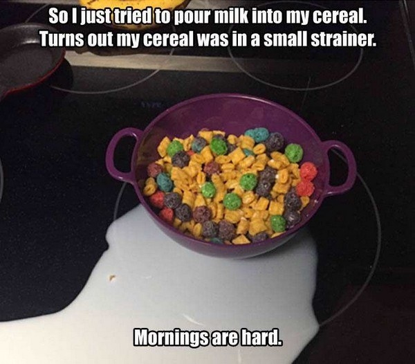 mornings are hard - So I just tried to pour milk into my cereal. Turns out my cereal was in a small strainer. Mornings are hard.