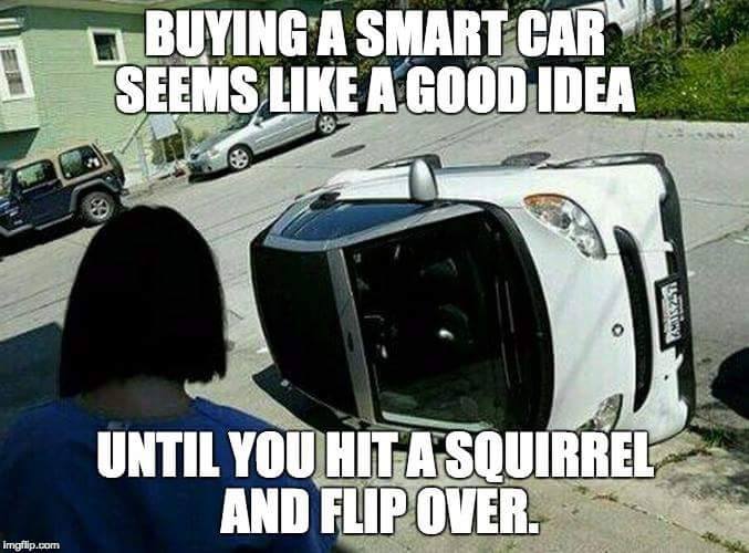 smart car tipping san francisco - Buying A Smart Card Seems A Good Idea sirs Until You Hit A Squirrel And Flip Over. Imgflip.com