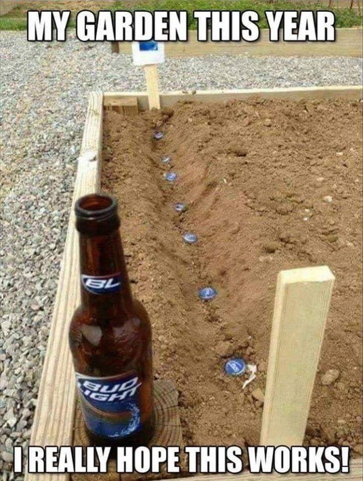 planting beer - My Garden This Year I Really Hope This Works!