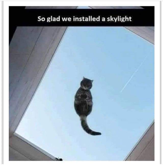 skylight meme - So glad we installed a skylight