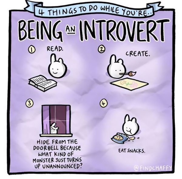 Introvert truths