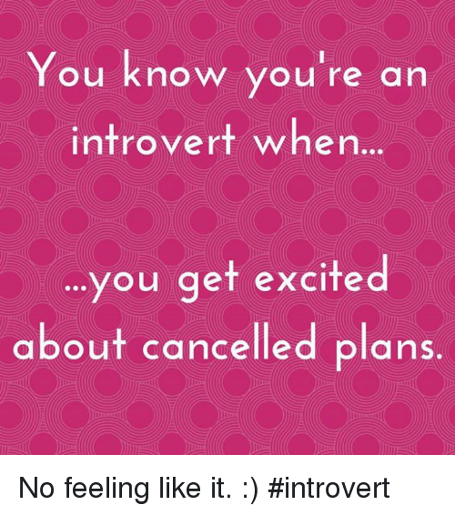 Introvert truths