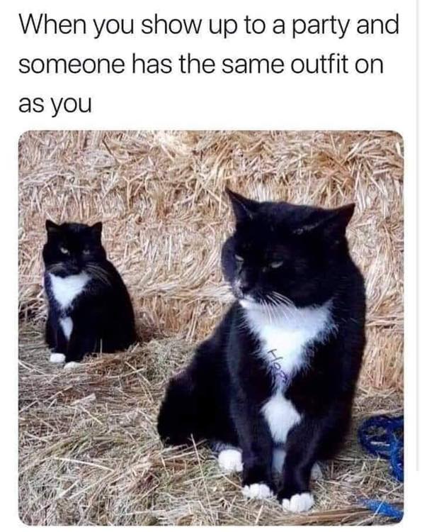 photo caption - When you show up to a party and someone has the same outfit on as you