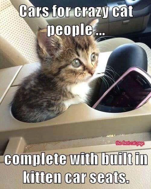 crazy cat meme - Cars for crazy cat people... the best at page complete with built in kitten car seats.