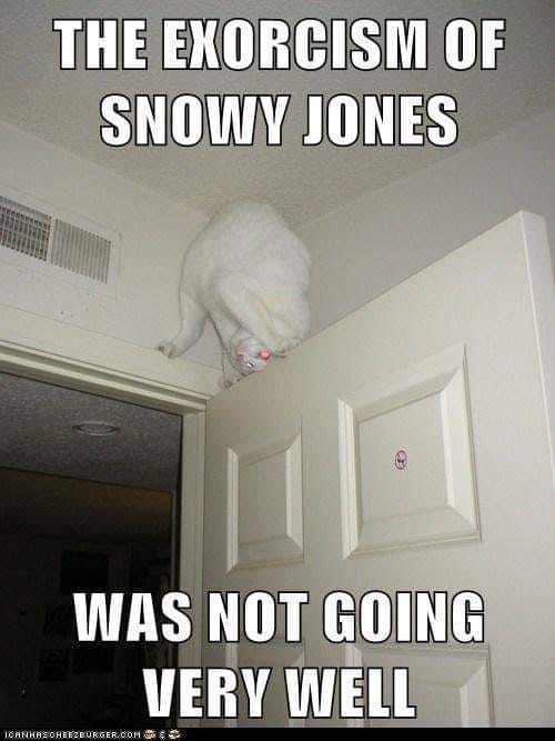 exorcism funny meme - The Exorcism Of Snowy Jones Was Not Going Very Well Hornhasoherzburger.Com Ses