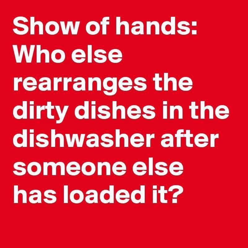 angle - Show of hands Who else rearranges the dirty dishes in the dishwasher after someone else has loaded it?