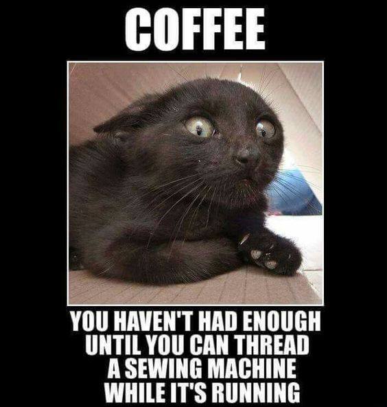 good morning coffee animal meme - Coffee You Haven'T Had Enough Until You Can Thread A Sewing Machine While It'S Running