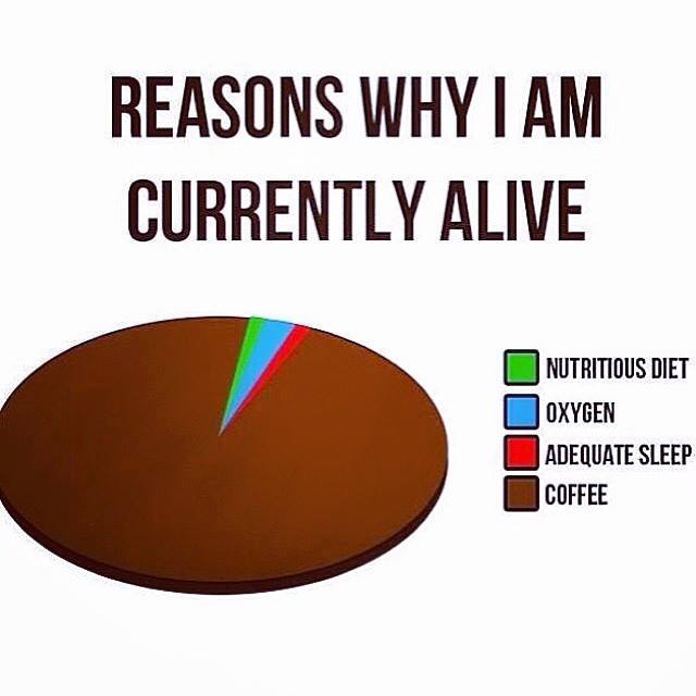 reasons why i am currently alive - Reasons Why I Am Currently Alive Nutritious Diet Oxygen Adequate Sleep Coffee