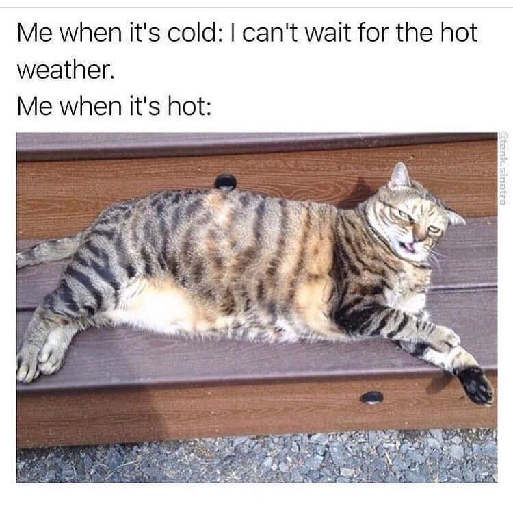 memes about hot weather - Me when it's cold I can't wait for the hot weather. Me when it's hot Etank sinatra