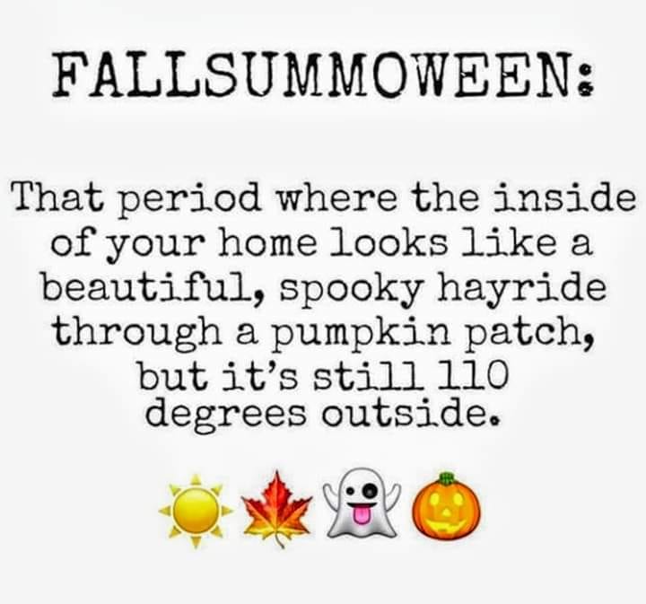 happiness - Fallsummoween That period where the inside of your home looks a beautiful, spooky hayride through a pumpkin patch, but it's still llo degrees outside.