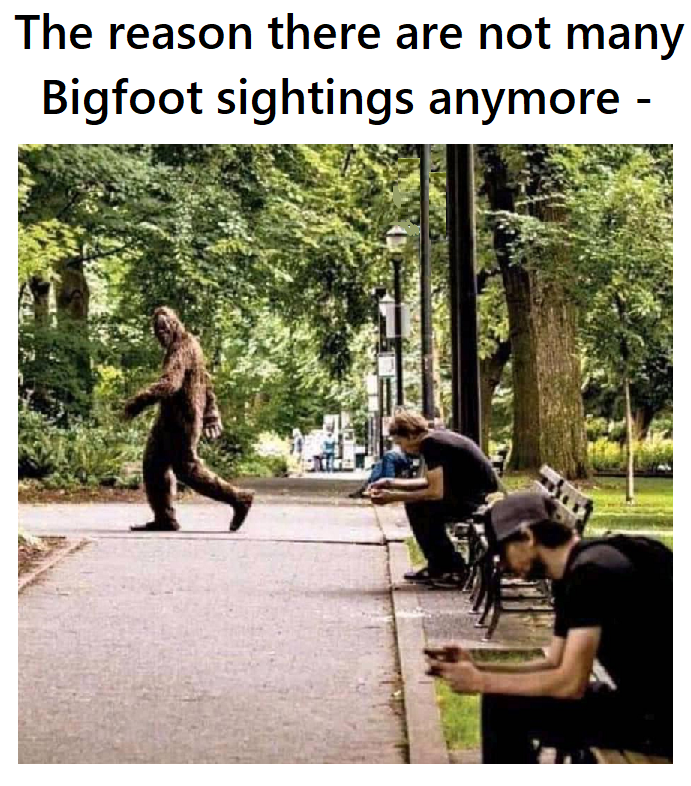bigfoot sightings meme - The reason there are not many Bigfoot sightings anymore