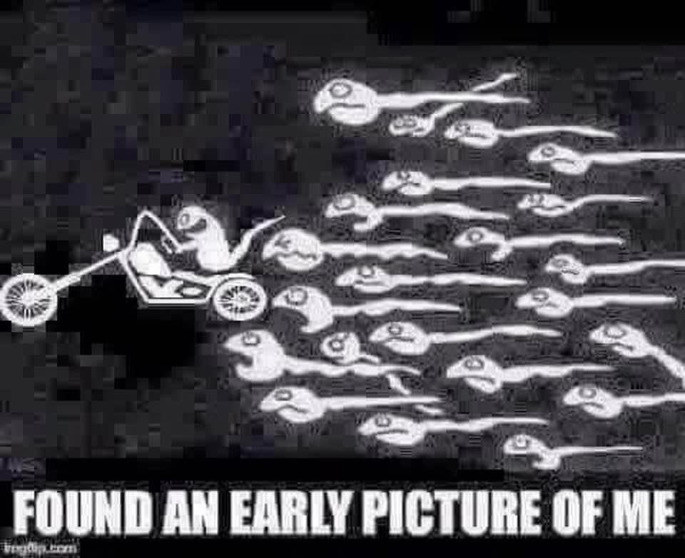 sperm funny quotes - Found An Early Picture Of Me