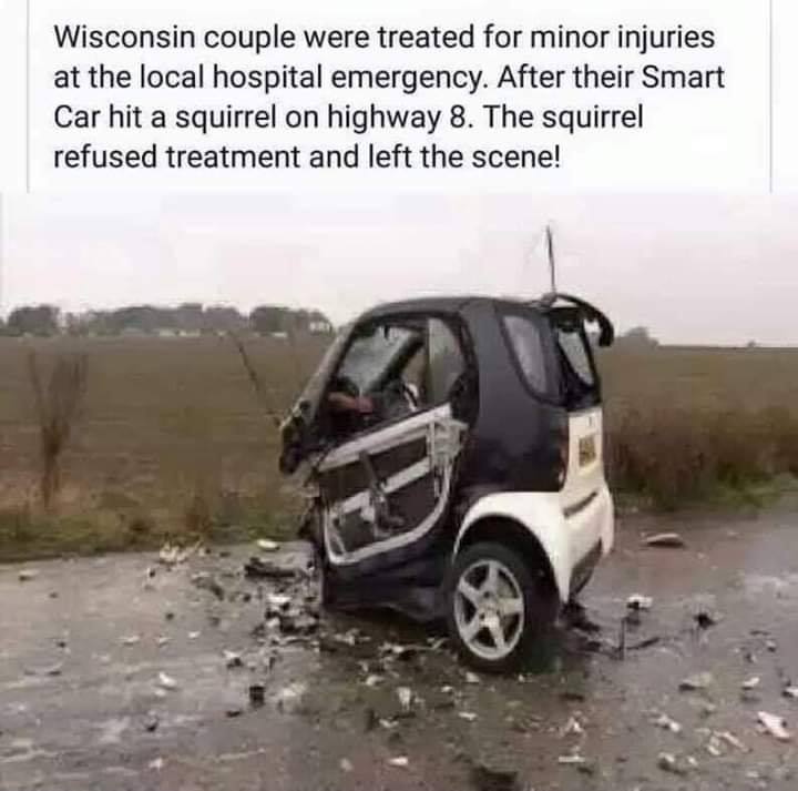 smart car humor - Wisconsin couple were treated for minor injuries at the local hospital emergency. After their Smart Car hit a squirrel on highway 8. The squirrel refused treatment and left the scene!