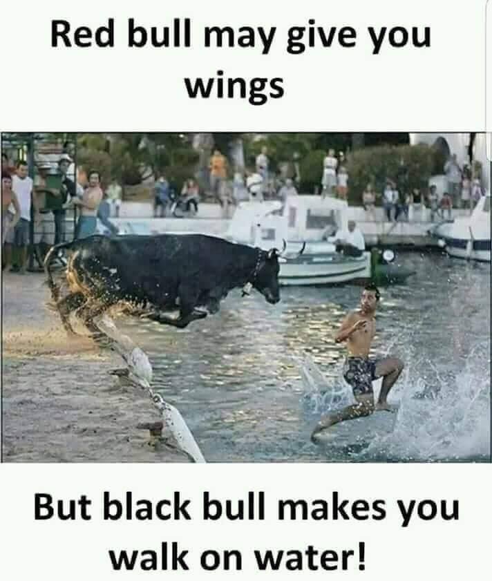 red bull gives you wings but black bull makes you walk on water - Red bull may give you wings But black bull makes you walk on water!