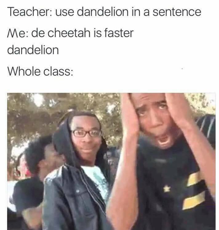 de cheetah is faster dandelion - Teacher use dandelion in a sentence Me de cheetah is faster dandelion Whole class