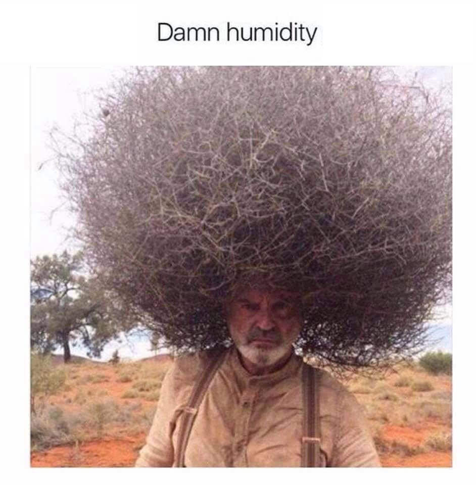 damn humidity got me like - Damn humidity