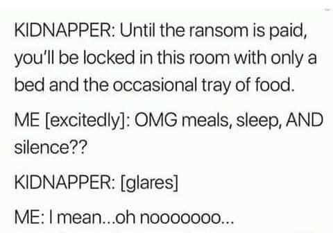 sentences questions - Kidnapper Until the ransom is paid, you'll be locked in this room with only a bed and the occasional tray of food. Me excitedly Omg meals, sleep, And silence?? Kidnapper glares Me I mean...oh nooooooo...