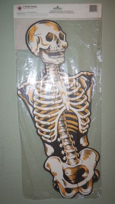 skeleton