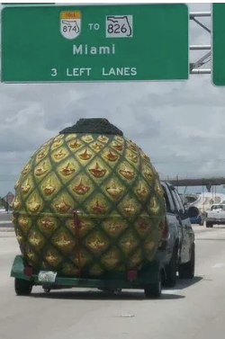 funny hurricane dorian meme - 274TO 626 Miami 3 Left Lanes