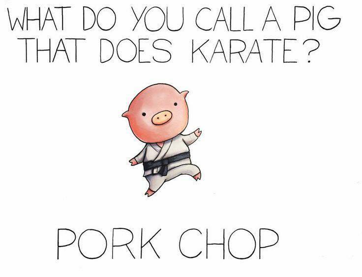 do you call a pig that does karate - What Do You Call A Pig That Does Karate ? Pork Chop