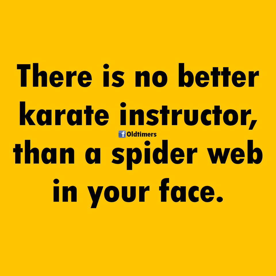 प्रयोगशाला सहायक भर्ती 2019 - There is no better karate instructor, than a spider web in your face. f Oldtimers