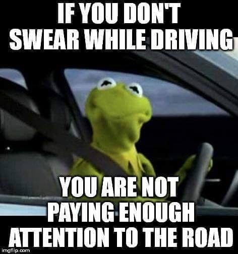 may be brain dead meme - If You Don'T Swear While Driving You Are Not Paying Enough Attention To The Road imgflip.com