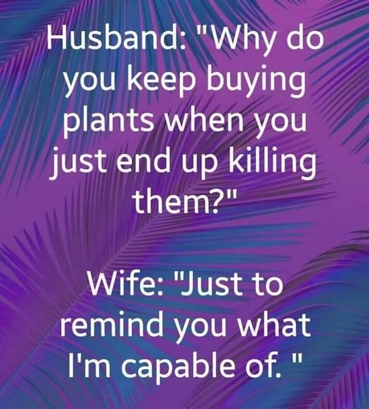 do you keep buying plants meme - Husband "Why do you keep buying plants when you just end up killing them?" Wife "Just to remind you what I'm capable of."