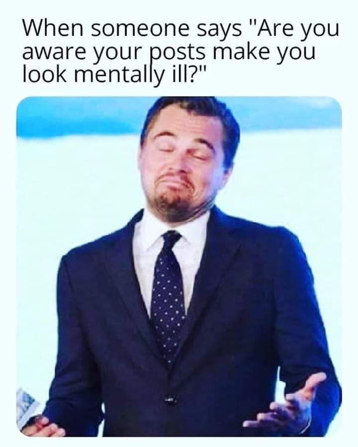 someone calls you a bitch but they aint wrong - When someone says "Are you aware your posts make you look mentally ill?"