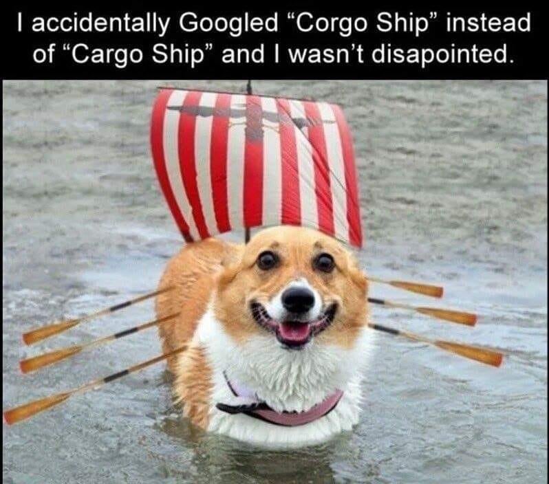 corgo ship - I accidentally Googled "Corgo Ship" instead of Cargo Ship" and I wasn't disapointed.