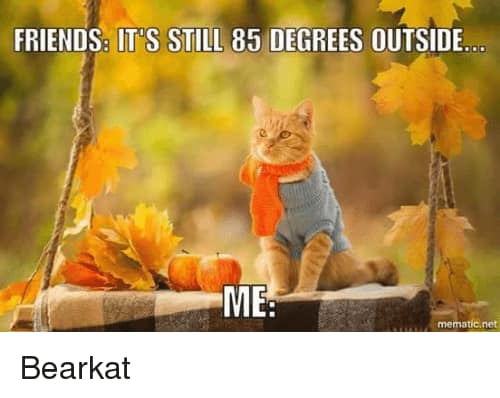 fall meme - Friends. It'S Still 85 Degrees Outside... Me mematic.net Bearkat