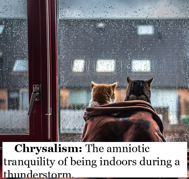 Chrysalism The amniotic tranquility of being indoors during a thunderstorm
