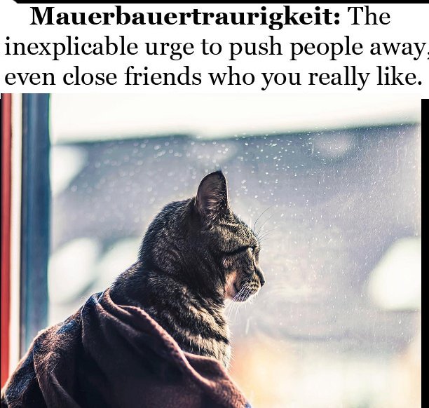 photo caption - Mauerbauertraurigkeit The inexplicable urge to push people away, even close friends who you really .