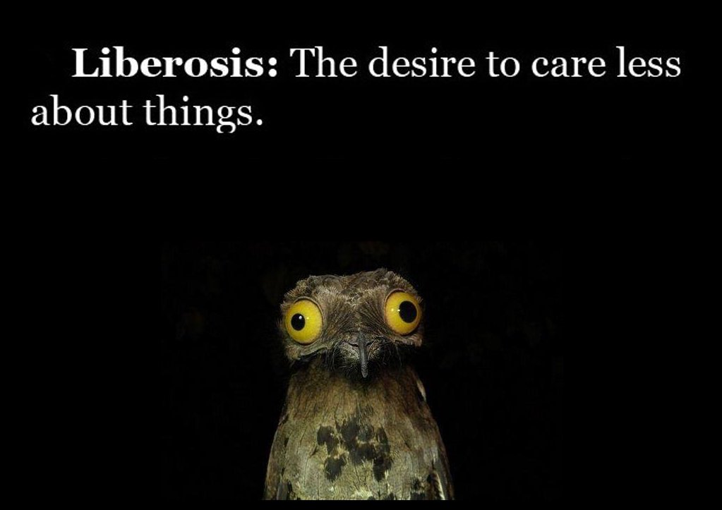 potoo bird - Liberosis The desire to care less about things.