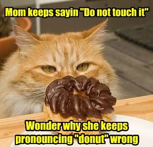 funny cat memes donuts - Mom keeps sayin "Do not touch it" Wonder why she keeps pronouncing "donut" wrong