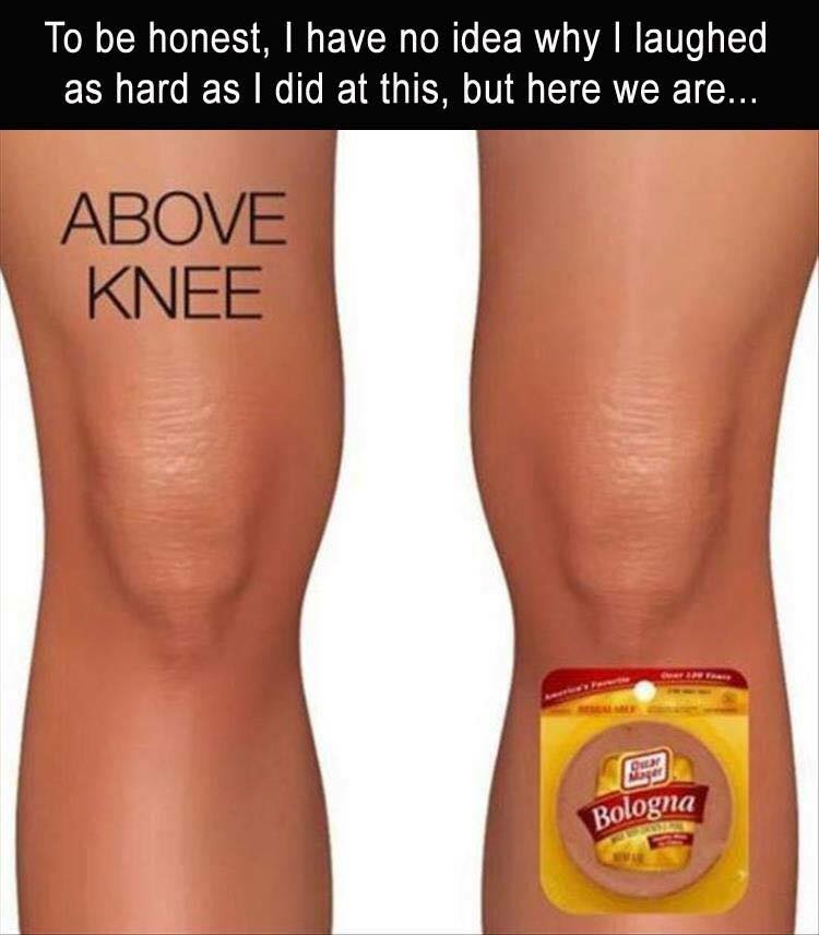 cant stop laughing meme - To be honest, I have no idea why I laughed as hard as I did at this, but here we are... Above Knee Bologna
