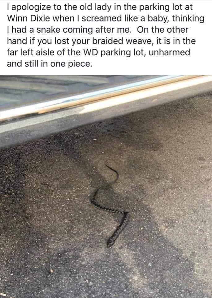 asphalt - I apologize to the old lady in the parking lot at Winn Dixie when I screamed a baby, thinking I had a snake coming after me. On the other hand if you lost your braided weave, it is in the far left aisle of the Wd parking lot, unharmed and still 