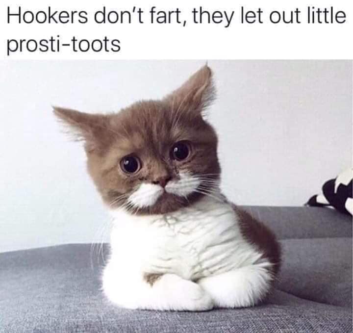 Hookers don't fart, they let out little prostitoots