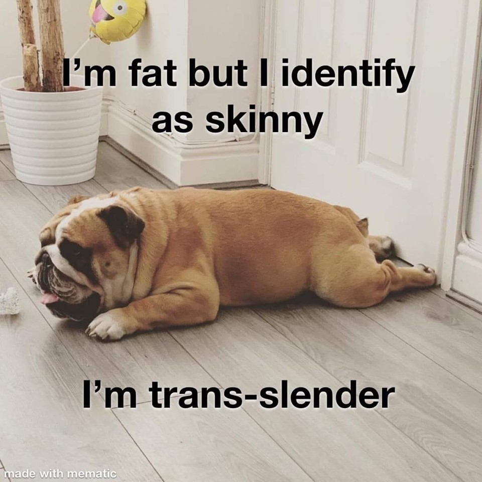 photo caption - | I'm fat but I identify as skinny I'm transslender made with mematic