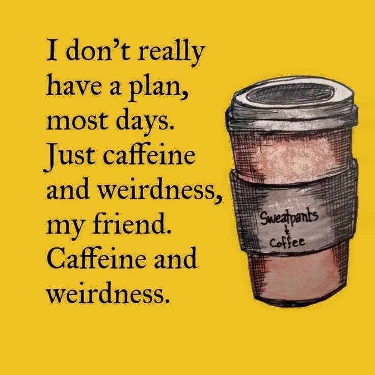 caffeine and weirdness - I don't really have a plan, most days. Just caffeine and weirdness, my friend. Caffeine and weirdness. Sweatpants coffee