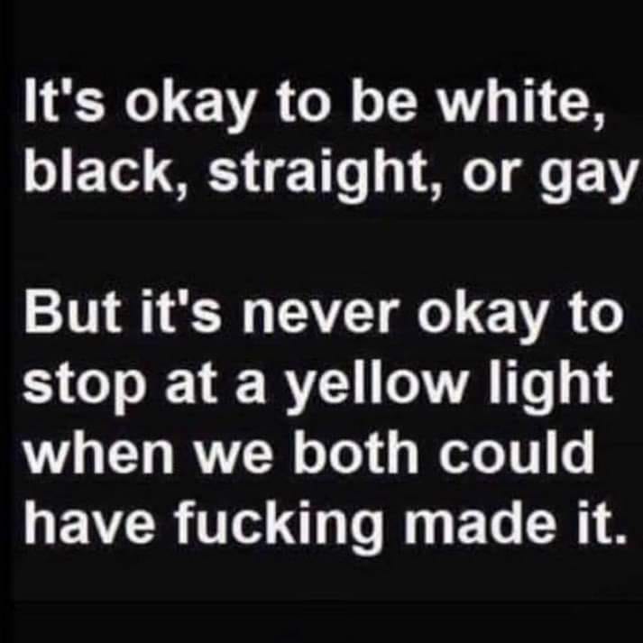 It's okay to be white, black, straight, or gay But it's never okay to stop at a yellow light when we both could have fucking made it.