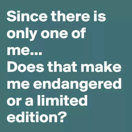 Since there is only one of me... Does that make me endangered or a limited edition?