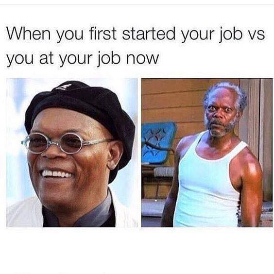 samuel l jackson work meme - When you first started your job vs you at your job now